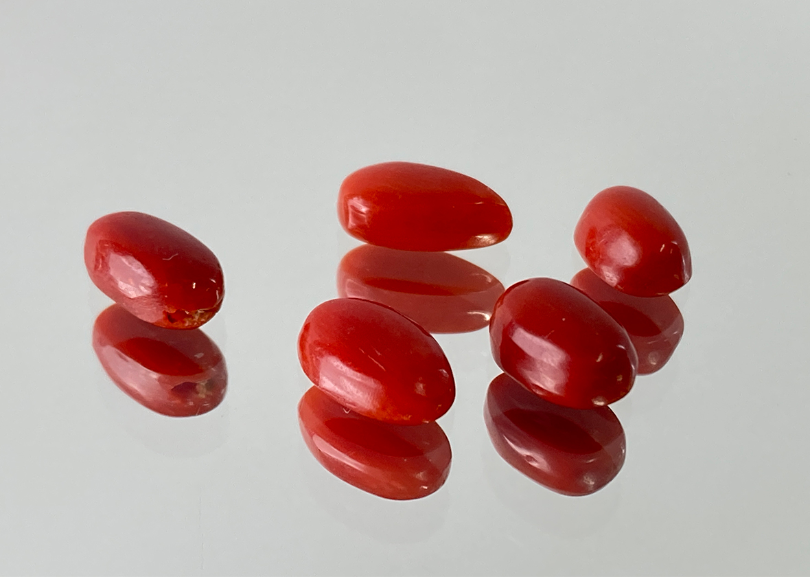 coral-01.jpg