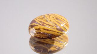 マダガスカル産♦︎オーシャンジャスパー ocean jasper|きのこ