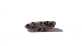 オーシャンジャスパー ホワイトダルメシアン オーシャンジャスパー ホワイトダルメシアン オーシャンジャスパー