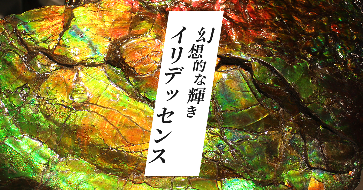 イリデッセンスtitle.jpg