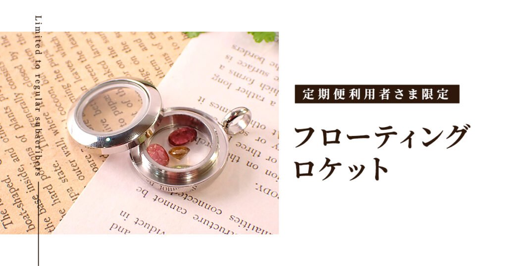 定期便利用者さま限定の商品-フローティングロケット